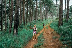 BIB: 
                            <button type="button" onclick="openModal(25660165)" class="btn btn-primary btn-sm float-right btn-popup" data-toggle="modal" data-target=".modal-high-quality">
                        <i class="fas fa-shopping-cart"></i> Add to Cart
                    </button>
                                            <button type="button" onclick="isThisMe(25660165, true)" class="btn btn-success btn-sm float-right btn-popup btn-isme hidden" data-toggle="tooltip" data-placement="bottom" title="นี่คือรูปของคุณใช่ไหม คลิกที่นี่เพื่อเอาเข้าอัลบั้ม">
                        <i class="fas fa-plus"></i> Add to album
                    </button>
                    <button type="button" onclick="isThisMe(25660165, false)" class="btn btn-warning btn-sm float-right btn-popup btn-isnotme hidden">
                        <i class="fas fa-ban"></i> Remove from album
                    </button>